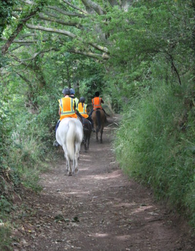 Barley Lane School - group horseriding