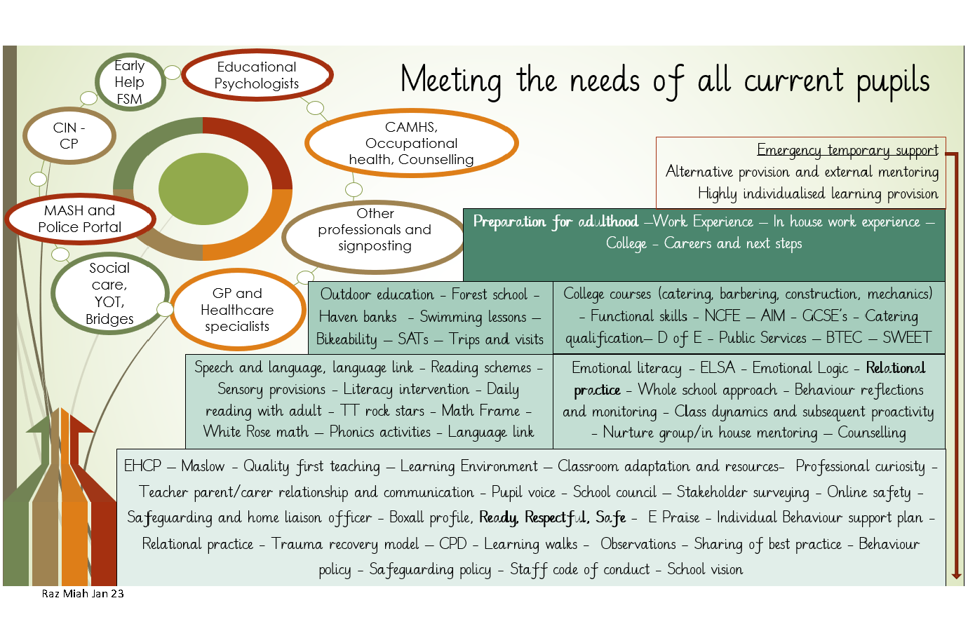 meeting the needs of pupils